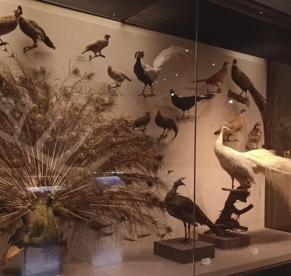 中国十大博物馆排名