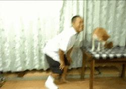 小狗挨打后有多害怕