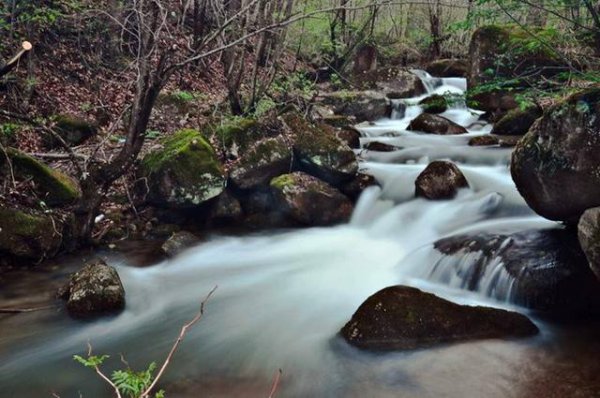 老子的道德经一共多少字