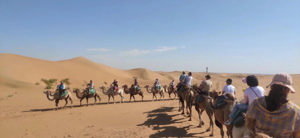 宁夏必去的旅游攻略景点