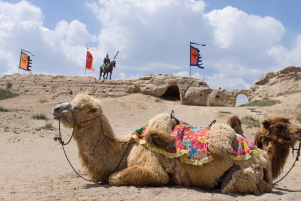 宁夏必去的旅游攻略景点