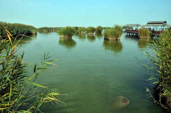 宁夏必去的旅游攻略景点