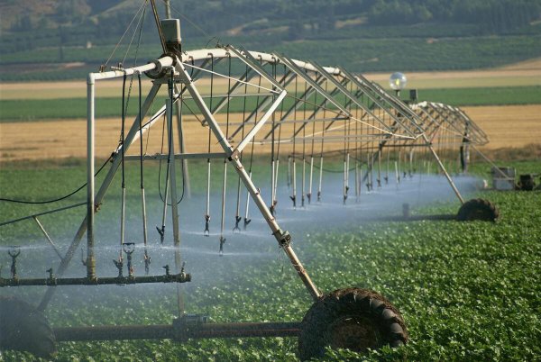 以色列是哪个洲的国家