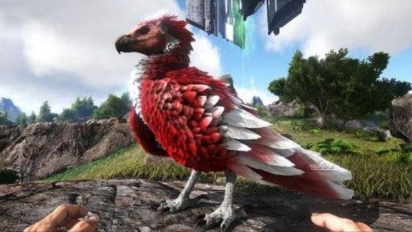 方舟的阿根廷巨鹰怎么驯服