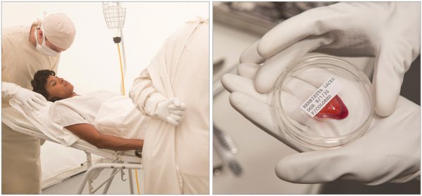 海拉细胞为什么会永生