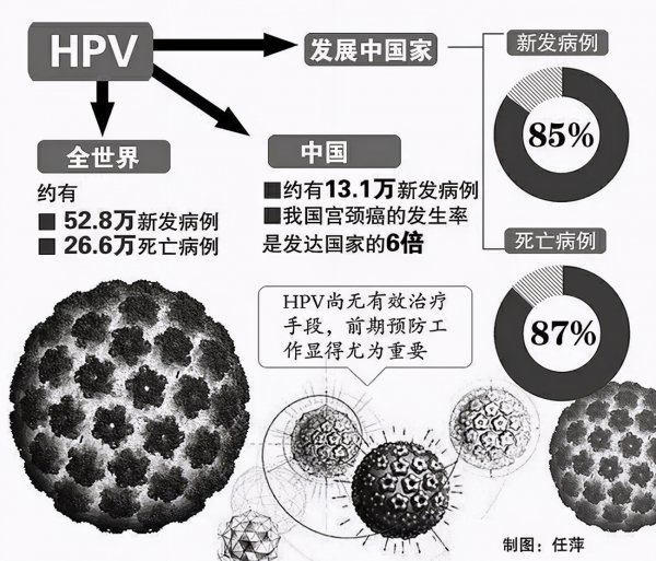 海拉细胞为什么会永生