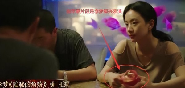 白鹿原换掉李梦真实原因