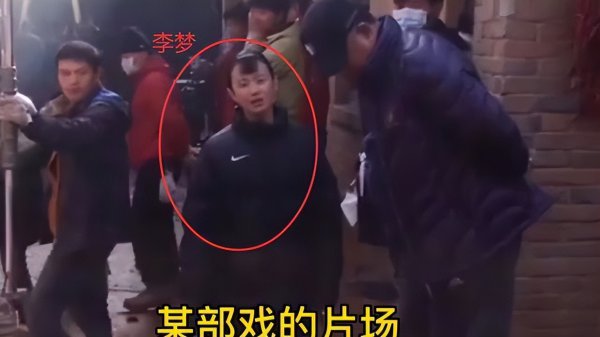 白鹿原换掉李梦真实原因