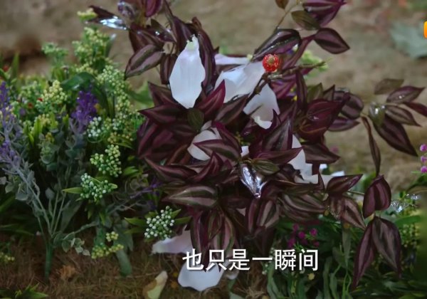 陈长生是什么电视剧中的人物