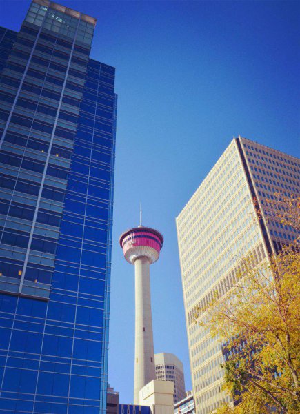 加拿大说什么语言