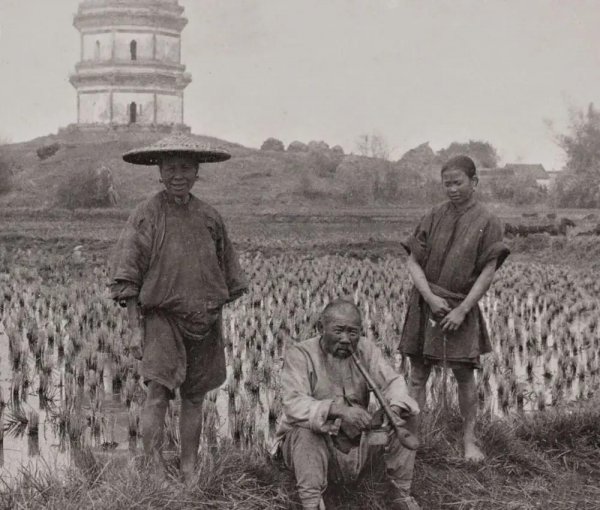 为什么那么多汉人忠于清朝