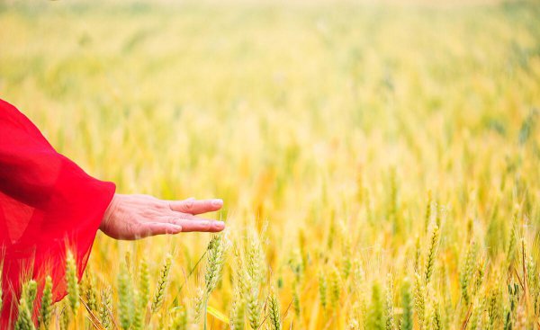 立夏节气的特点和风俗