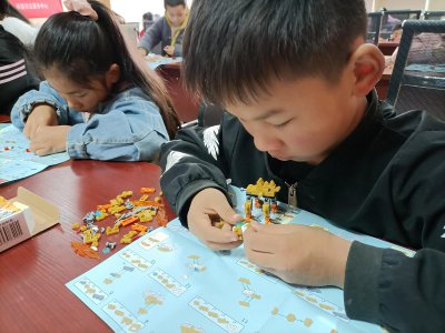 乐高积木玩具怎么样 儿童乐高积木玩具有必要给孩子买吗