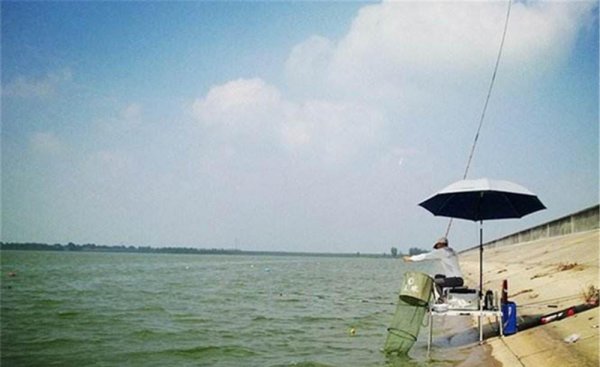 钓翘嘴鱼的最佳水深是多少米