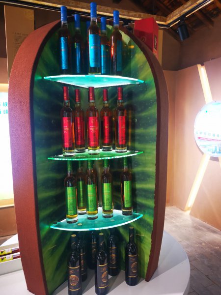 猕猴桃起源于哪个国家