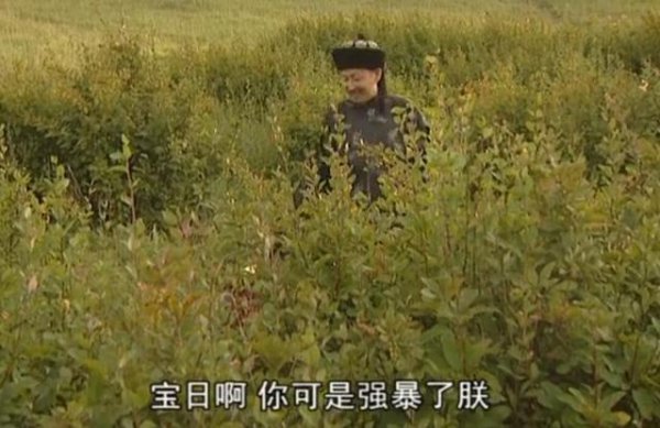 宝日龙梅和康熙是什么关系