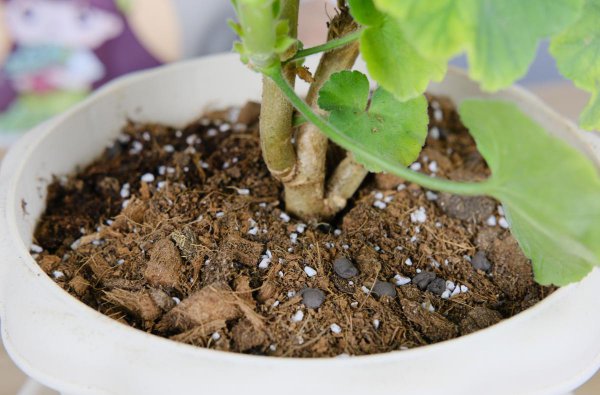 松土剂真的可以松土吗