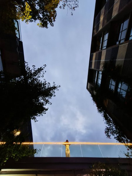 oppo拍照手机哪款好