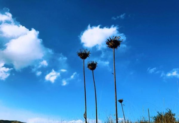 藏语扎西德勒藏语是什么意思