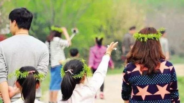 插柳枝是什么节日的风俗