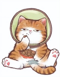 饿猫迷笼实验的启示 饿猫迷笼实验说的是什么故事过程