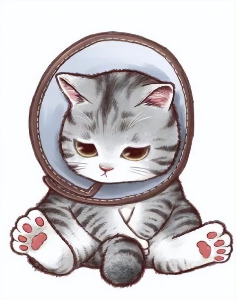 饿猫迷笼实验的启示