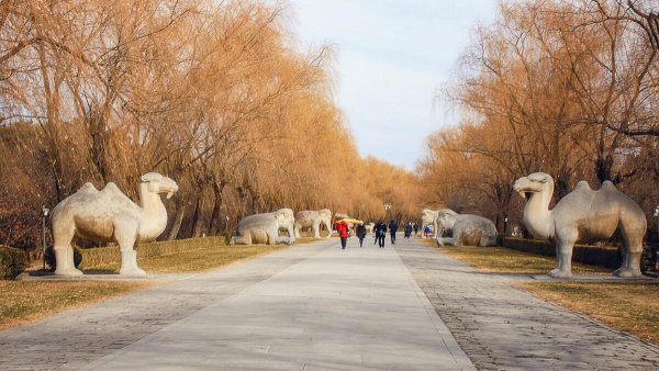 十三陵去哪个陵比较好