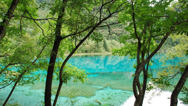 四川必去的十大景点排行榜