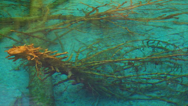 四川必去的十大景点排行榜