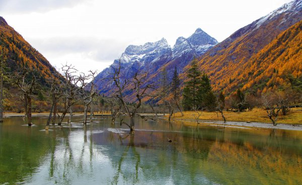 四川必去的十大景点排行榜