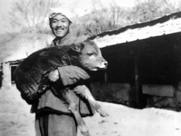 史铁生身残志坚的经典励志故事