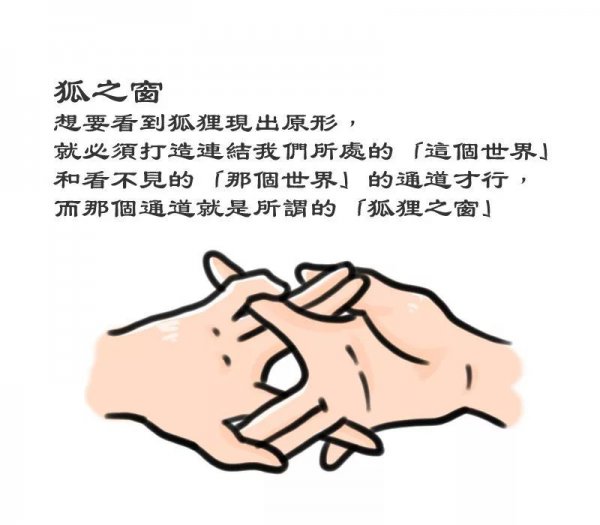 狐狸之窗的故事是真的吗