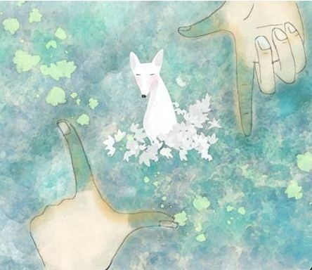 狐狸之窗的故事是真的吗