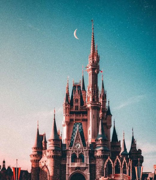 星黛露怎么突然火了