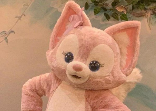 星黛露怎么突然火了