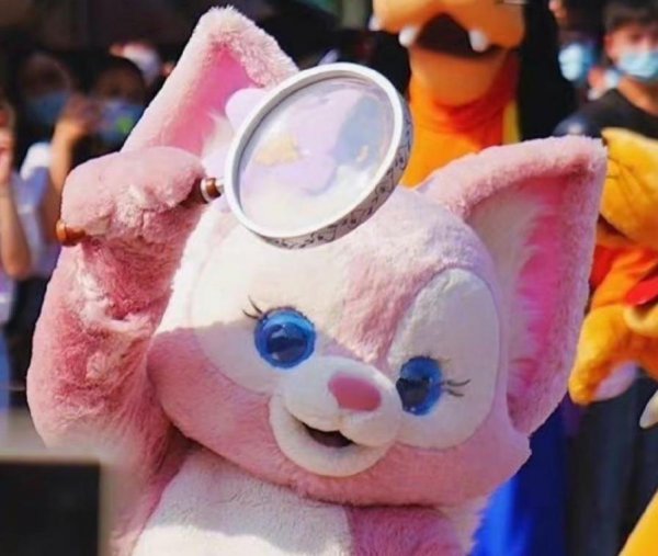 星黛露怎么突然火了