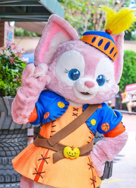 星黛露怎么突然火了