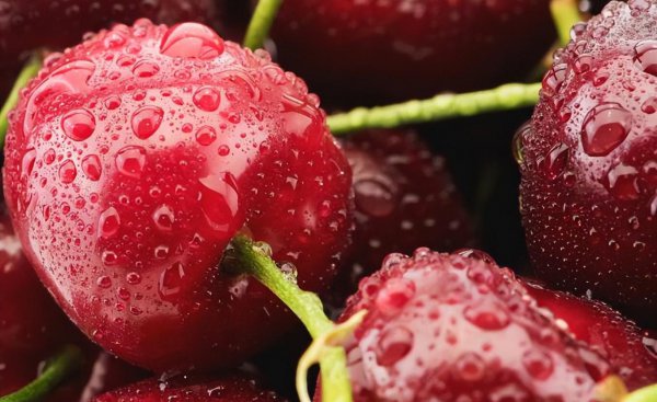 4j车厘子还是3j的好