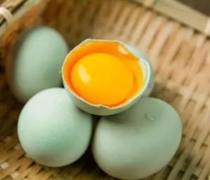 农村养殖什么不愁销路