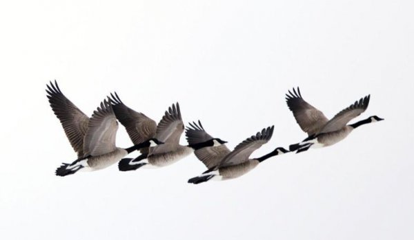 三书六礼指的是什么