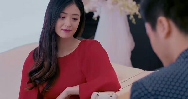 樊胜美是什么梗