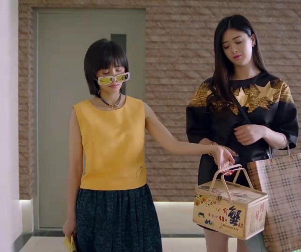 樊胜美是什么梗