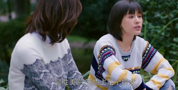 樊胜美是什么梗