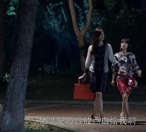 樊胜美是什么梗