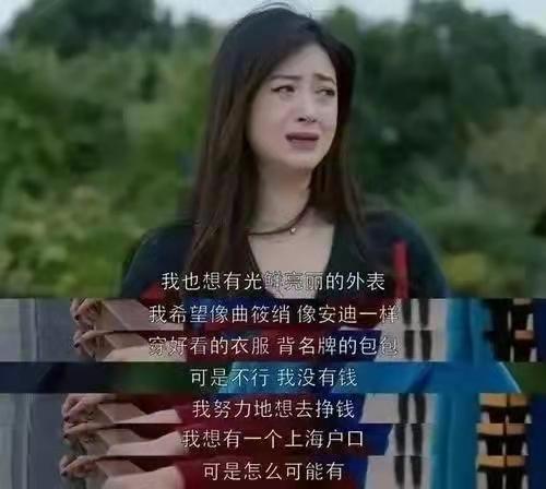 樊胜美是什么梗