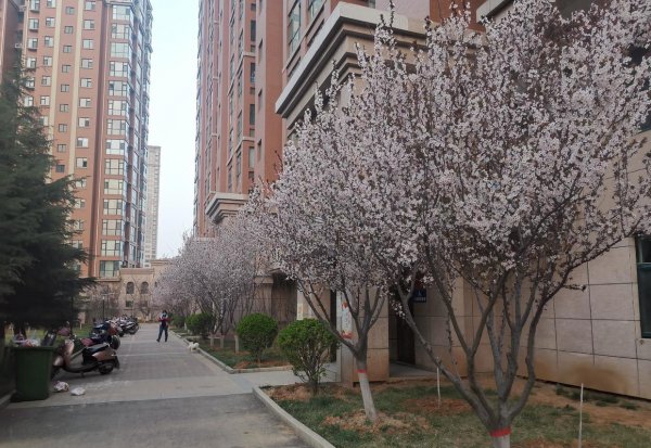 新闻的三大特点以及定义