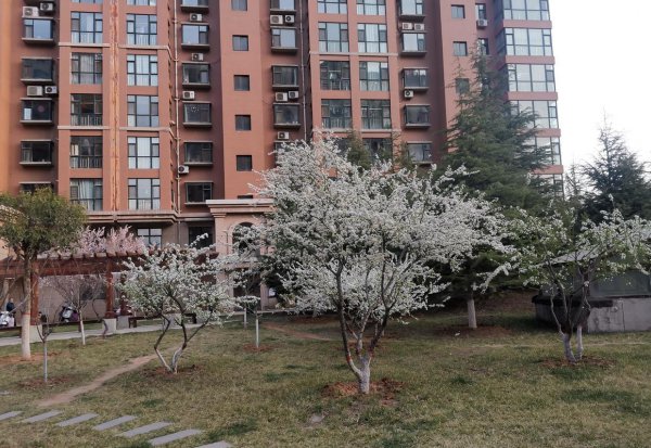 新闻的三大特点以及定义