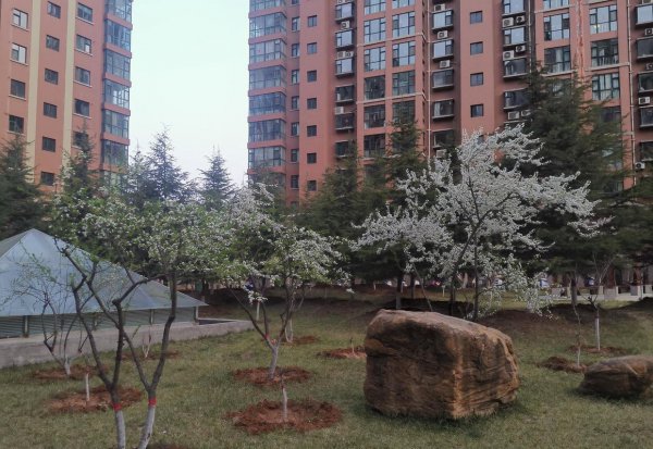 新闻的三大特点以及定义