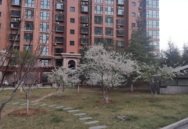 新闻的三大特点以及定义