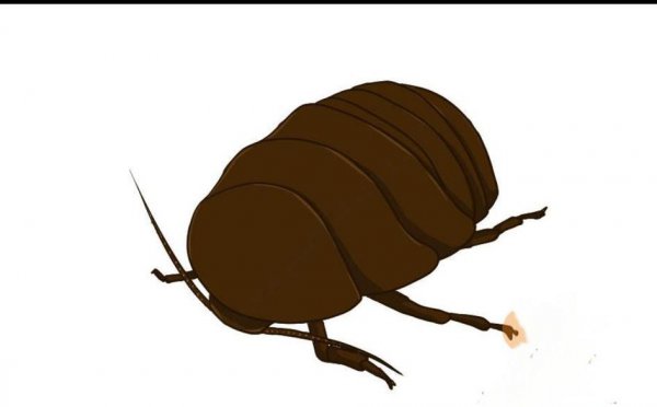 农村冷门暴利养殖业有哪些